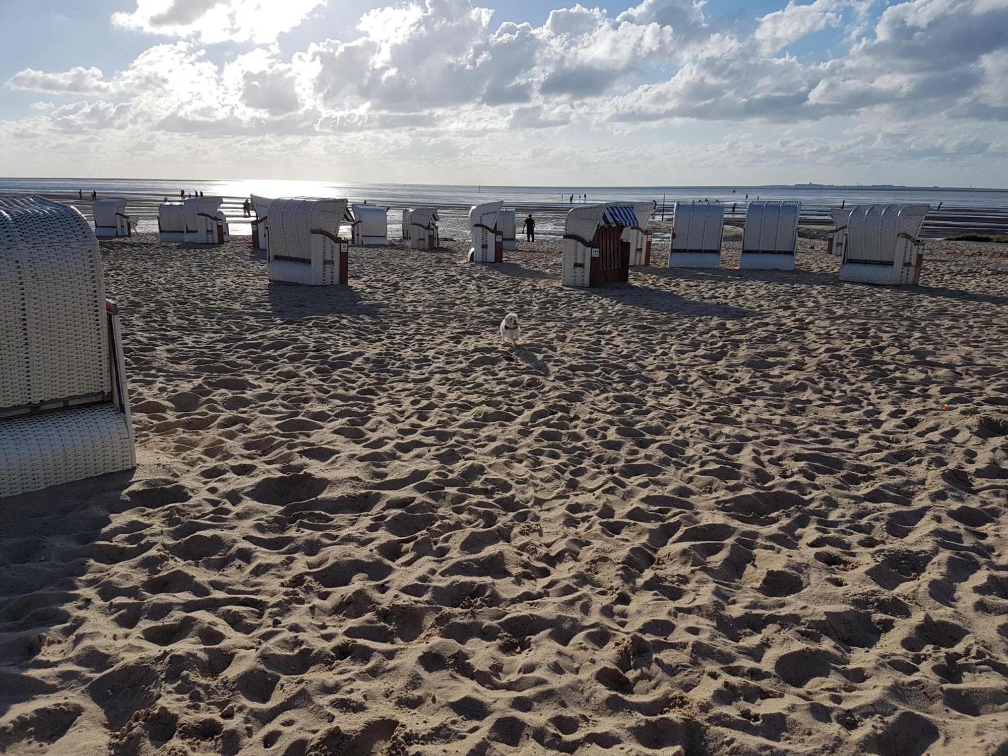 Watt & Wind - Tolles Schwimmbad Apartment Cuxhaven Ngoại thất bức ảnh